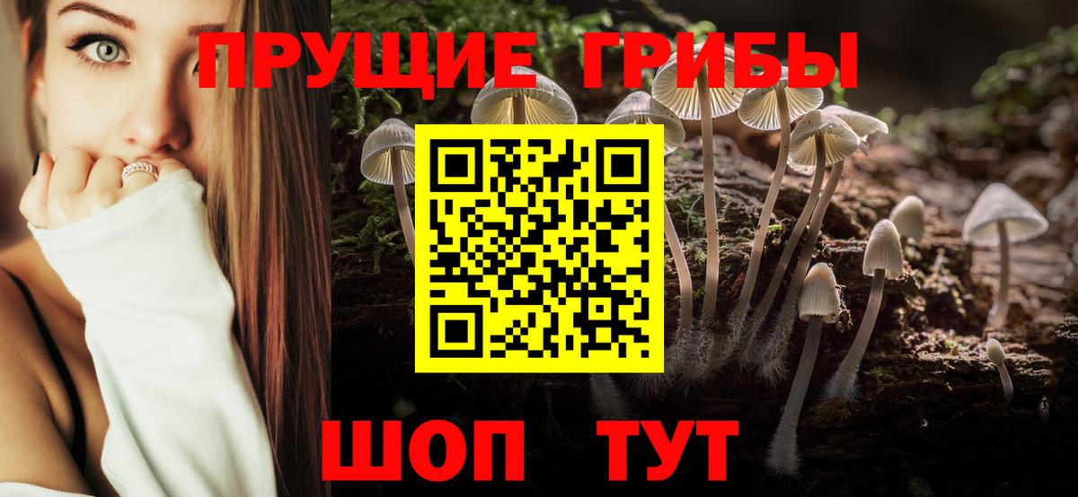 Новотроицк  Галлюциногенные грибы MAGIC MUSHROOMS  Вход с VPN  Галлюциногенные грибы Cubensis 
